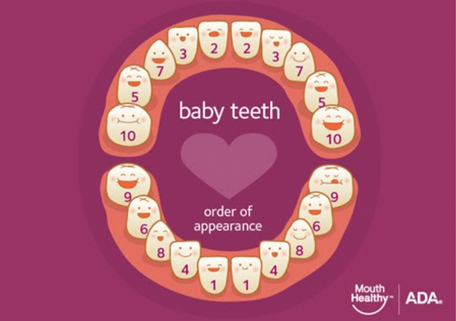 Mouth Diagram